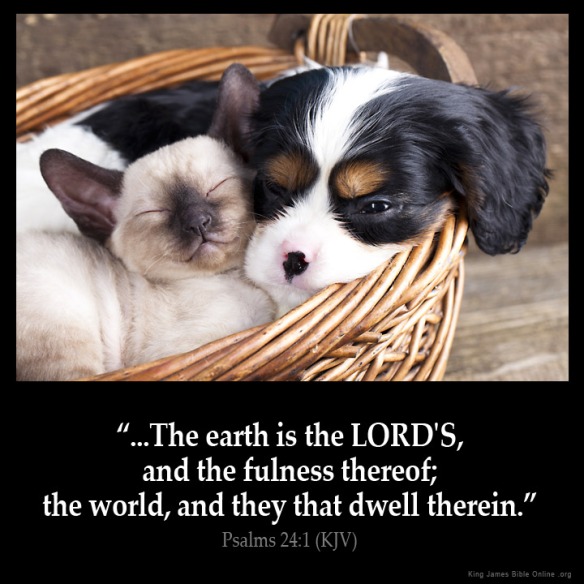 Psalms_24-1: A Psalm of David. The earth is the LORD'S, and the fulness thereof; the world, and they that dwell therein