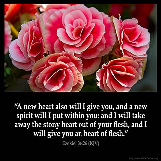 Ezekiel_36-26: A new heart also will I give you, and a new spirit will I put within you: and I will take away the stony heart out of your flesh, and I will give you an heart of flesh.