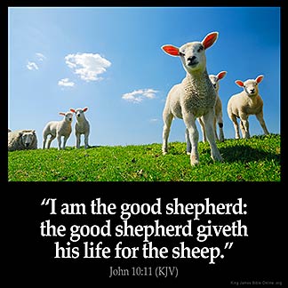 John_10-11: I am the good shepherd: the good shepherd giveth his life for the sheep.
